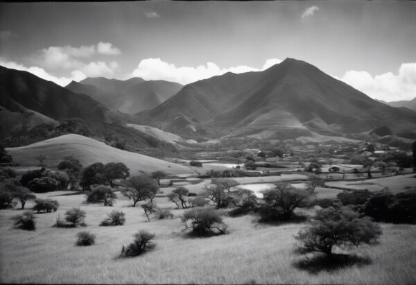 "Impresiones de Venezuela: Paisaje del siglo XIX"