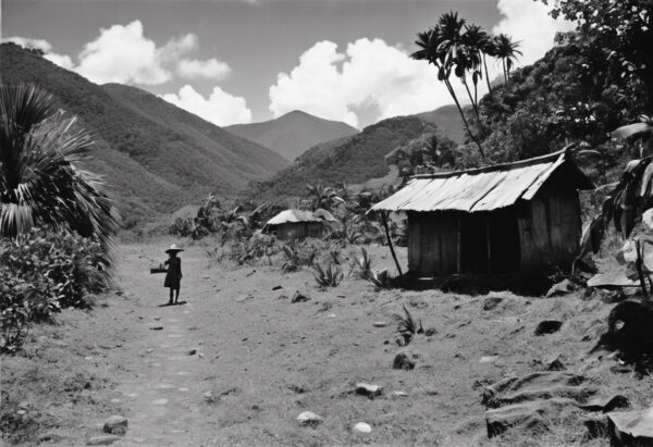 "Tranquilidad Eterna: Un Retrato de Venezuela en el Siglo XIX"