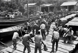 "Transporte: Núcleo del Comercio Venezolano del Siglo XIX".