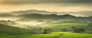 Amanecer en el Campo Venezolano