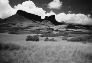 Esencia del Siglo XIX: Venezuela en Blanco y Negro