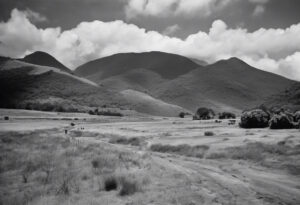 "Ostentación de la Naturaleza Venezolana del Siglo XIX"