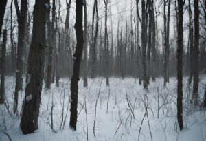 Resiliencia Radioactiva: Un Retrato Frío de Chernobyl