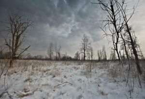 "El Gélido Silencio de Chernobyl"