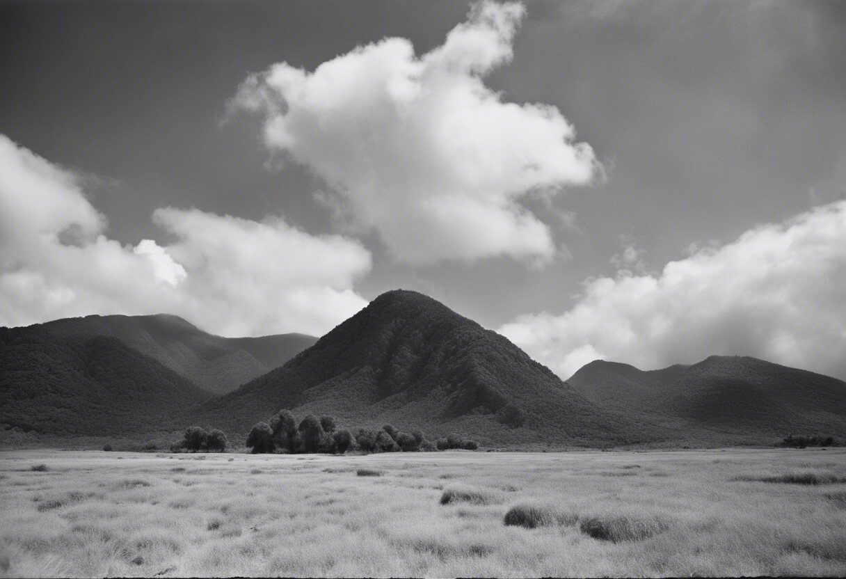 "Venezuela del siglo XIX: Rastros de Historia en Blanco y Negro"