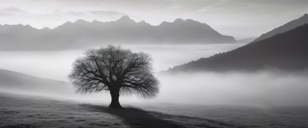 El Espejo de la Naturaleza: Yo Soy Paisaje