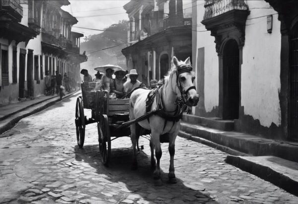 "Sinfonía de la Vida Cotidiana - Venezuela, Siglo XIX"