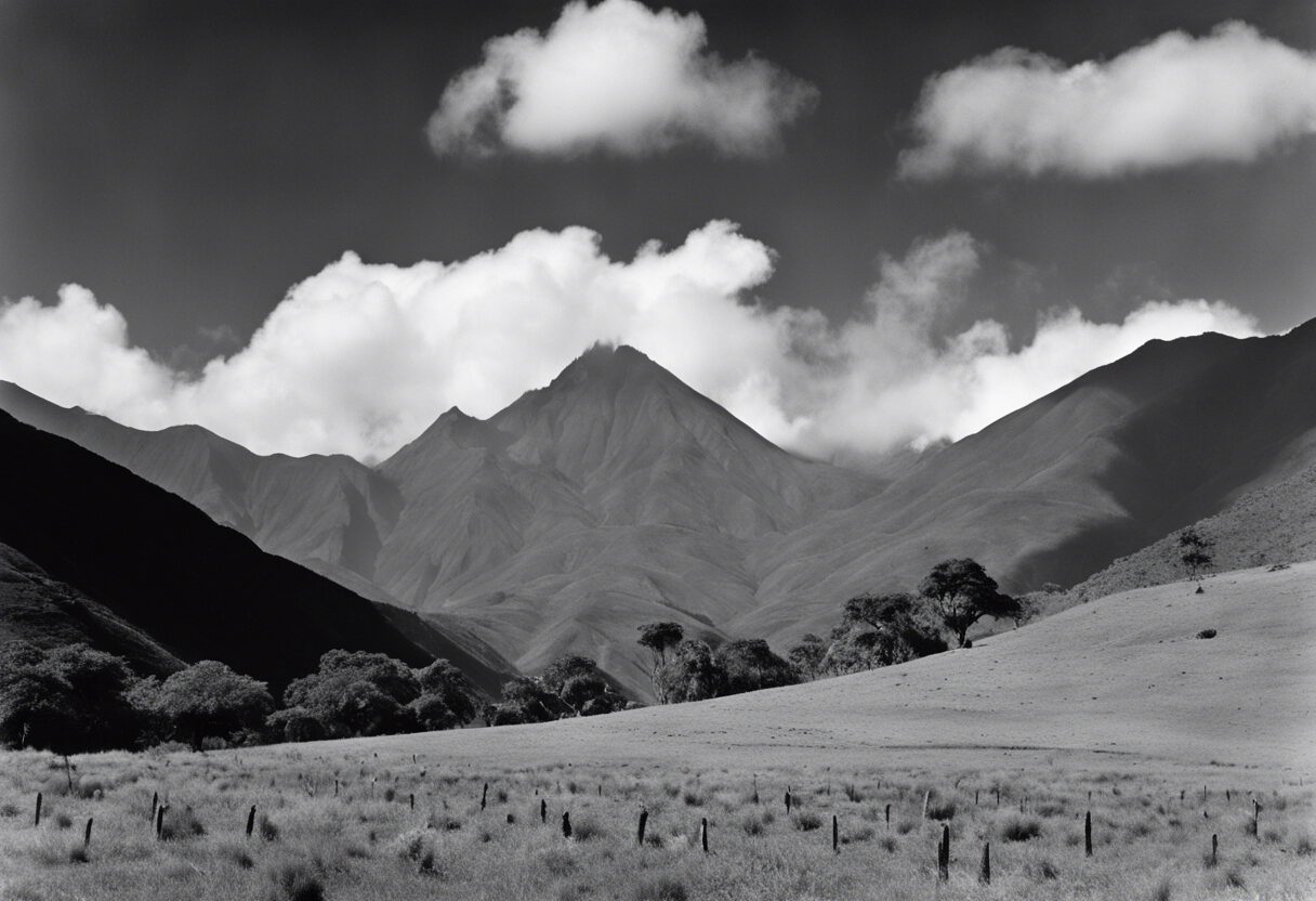 Oda al siglo XIX: La Vida en Blanco y Negro de las Llanuras Venezolanas.