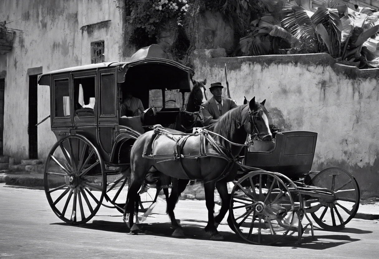 El Transporte del Siglo XIX: Rutas Venezolanas en Monocromo