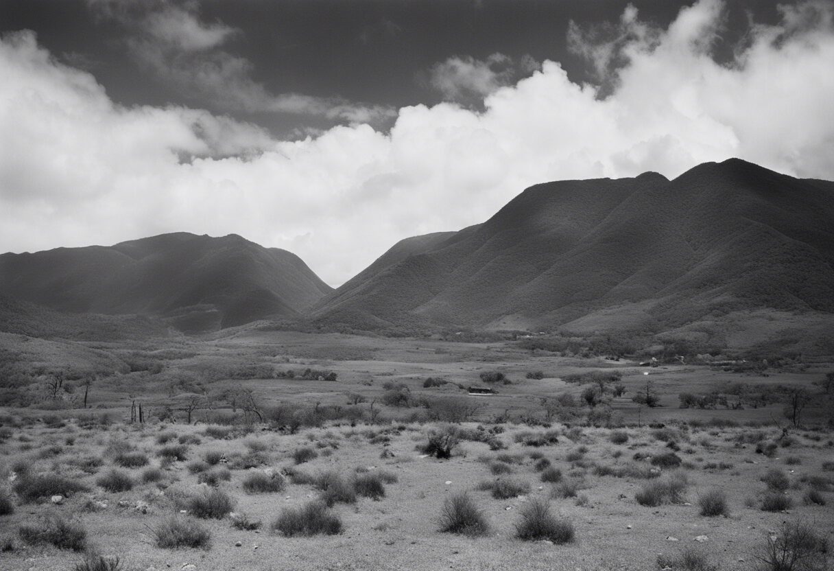 "Contrastes Venezolanos: Un paisaje del siglo XIX en blanco y negro"