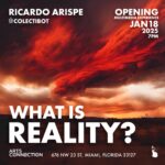 OPENING | Ricardo Arispe & Colectibot. What is reality? #Miami