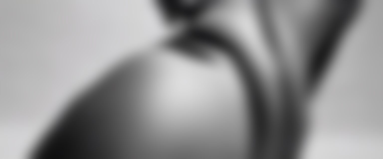  "Existencia en Blanco y Negro: Yo soy Cuerpo"

