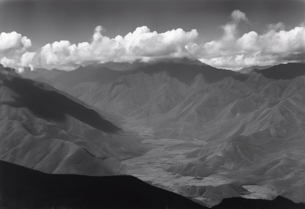  

"Venezuela Siglo XIX: Panorama Inalterable en Blanco y Negro"

