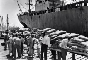  "Estampa de la Industrialización: Puerto Venezolano del siglo XIX"

