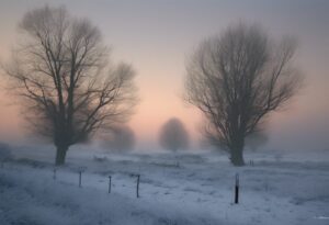  "Resiliencia entre la Desolación: Ecos de la Radiación"

