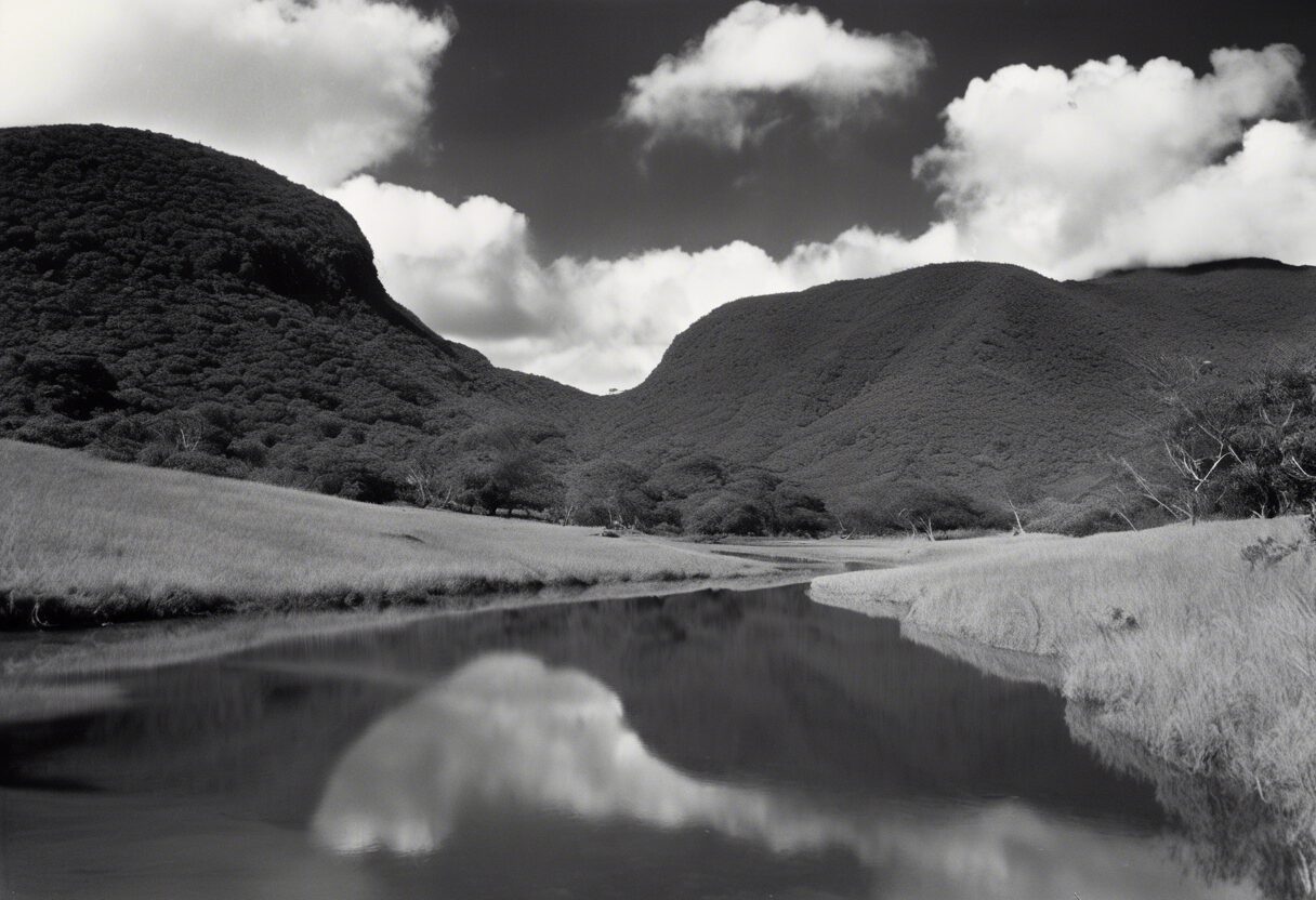  "Contrastes del Atardecer Venezolano"

