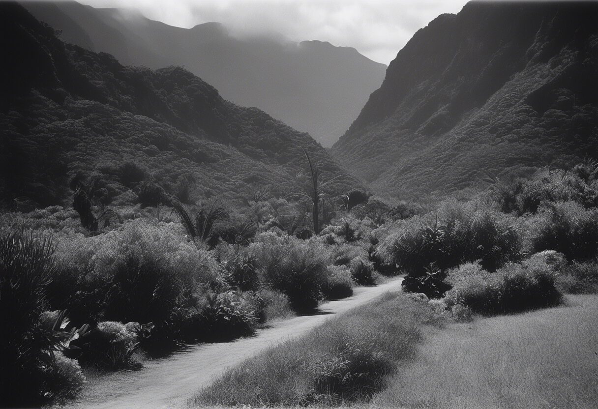  "Niebla sobre los Llanos del Siglo XIX"

