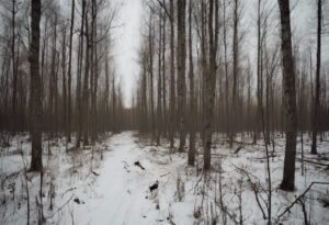  "El Inquietante Silencio de los Bosques de Chernobyl"

