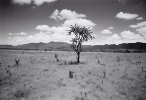  Reflejos del Pasado: Paisaje Venezolano del Siglo XIX

