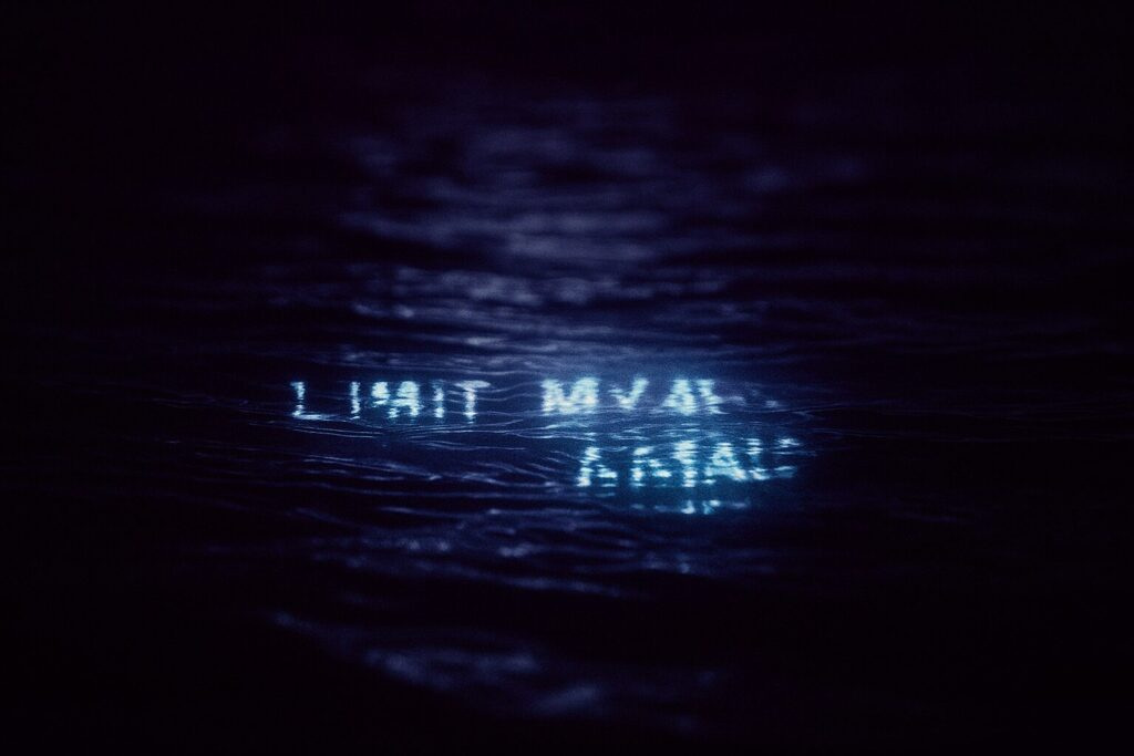 ColectiBot en la WRONG Biennale 2025/26