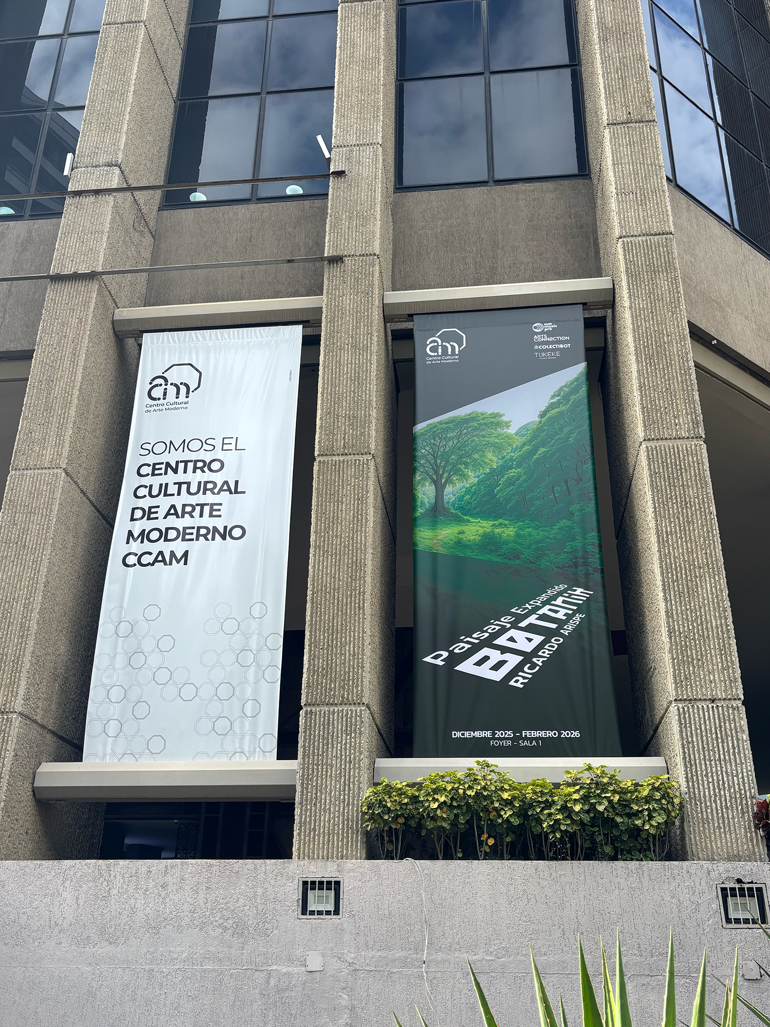 Paisaje Expandido [Botanik] – Registro de Sala